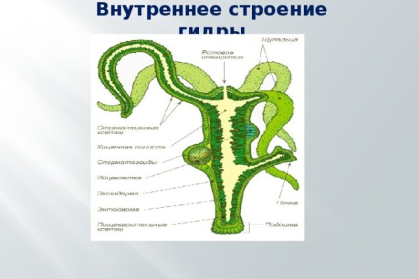 Kraken магазин ссылка